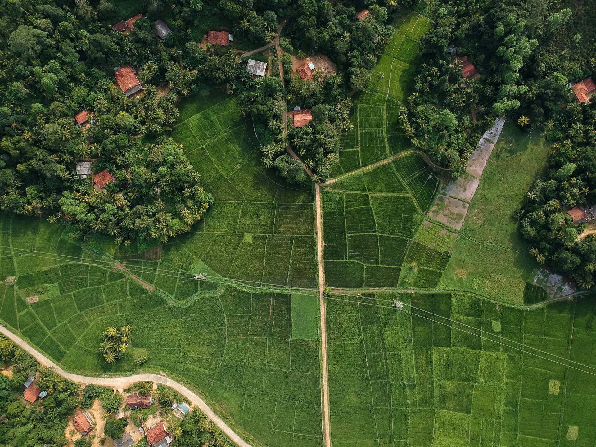 aerial view of green fields